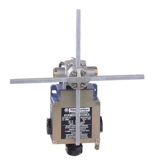 Telemecanique Sensors - XCKMR54D2H29EX